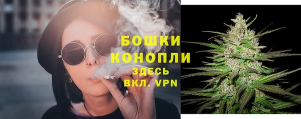 дмт Приозерск