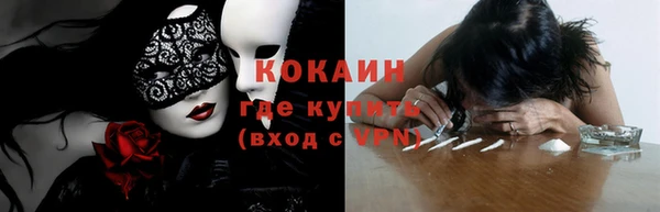 прущие грибы Абдулино