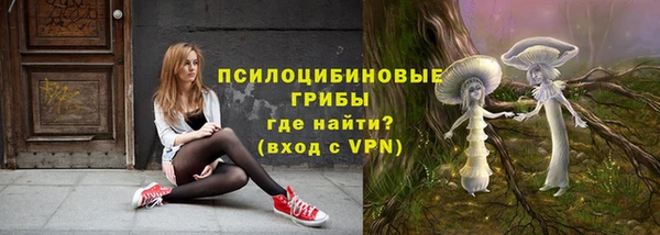 мет Абаза