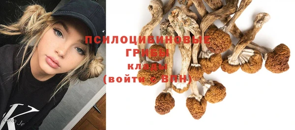 гашиш Пролетарск