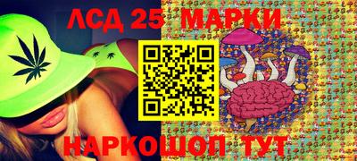 шишки Изобильный