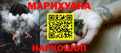 шишки Изобильный
