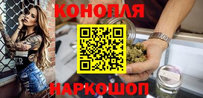 прущие грибы Ирбит