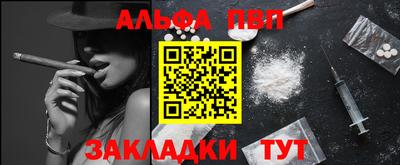 шишки Изобильный