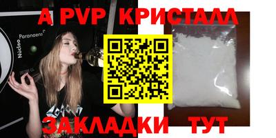 шишки Изобильный