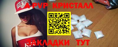 шишки Изобильный