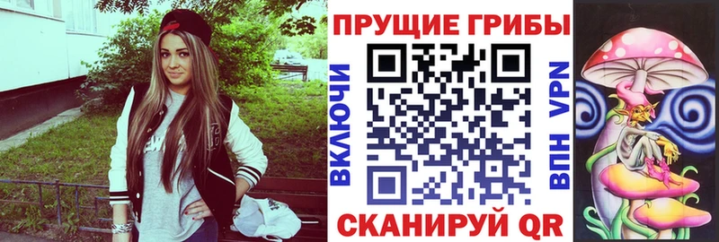 Псилоцибиновые грибы Psilocybine cubensis Лесозаводск