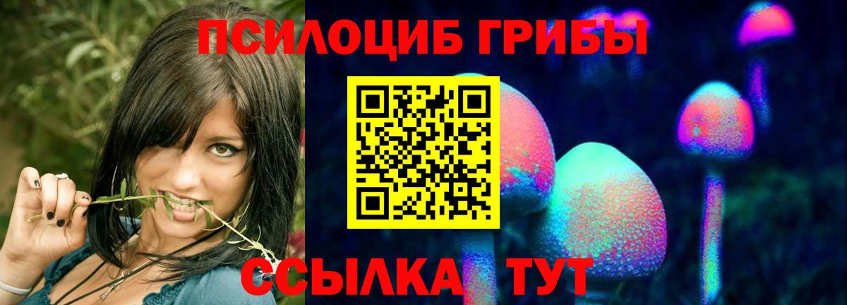 Лесозаводск  Галлюциногенные грибы мухоморы  Вход с VPN 
